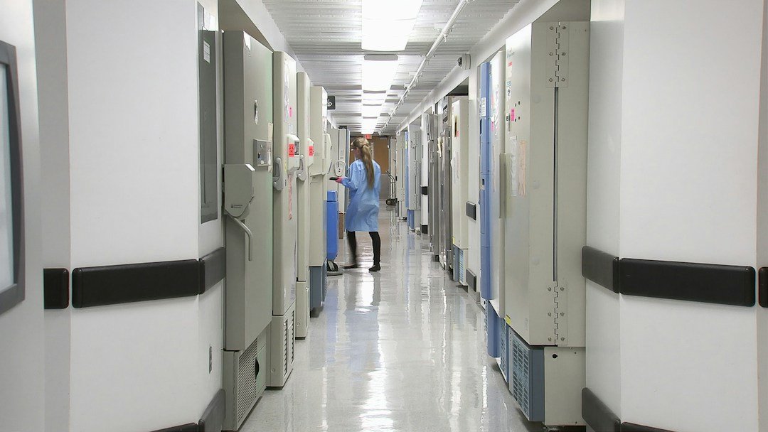 Infection control and sterilization support for UAE healthcare facilities